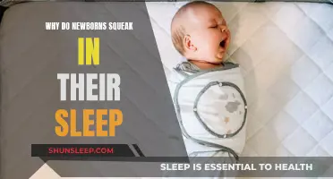Newborn Sleep: Understanding Their Nocturnal Squeaks and Sounds