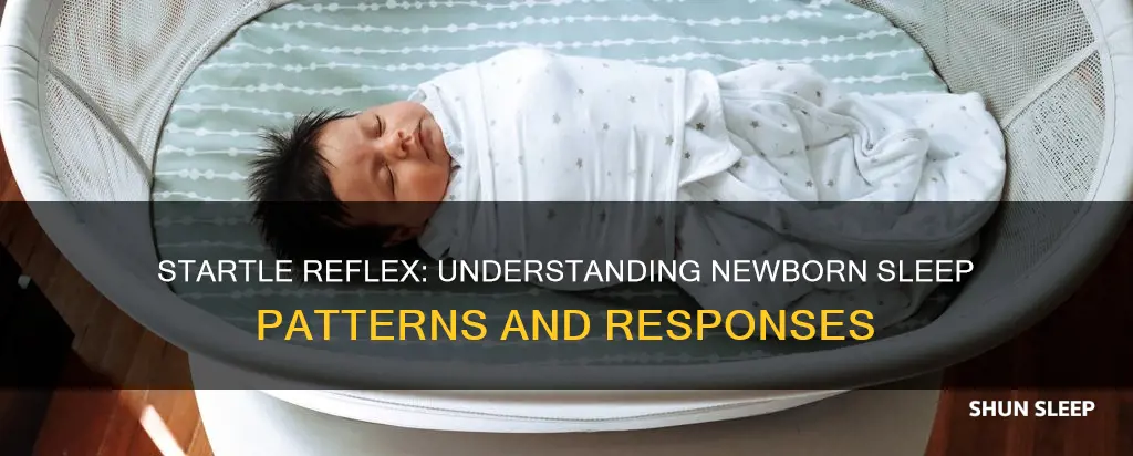 why do newborns startle in their sleep