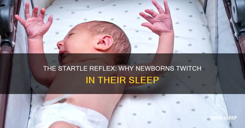 why do newborns startle when sleeping
