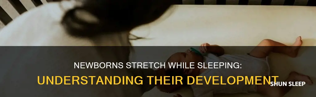why do newborns stretch a lot while sleeping