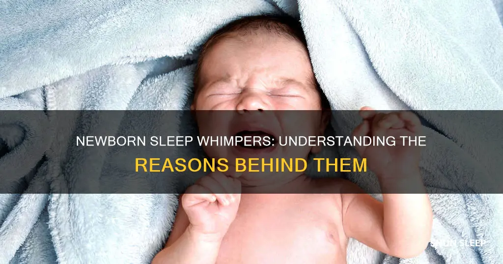 why do newborns whimper in their sleep