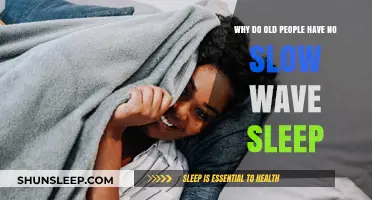 The Mystery of Aging: Slow Wave Sleep Loss