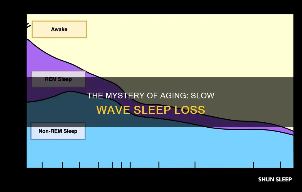 why do old people have no slow wave sleep