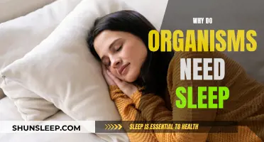 The Science of Sleep: Why Organisms Need Rest