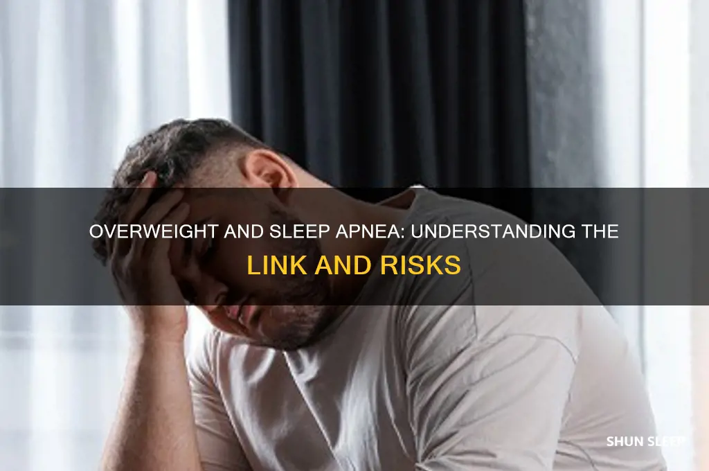 why do overweight people get sleep apnea
