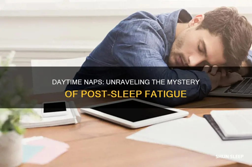 why do people get tired after sleeping during the day
