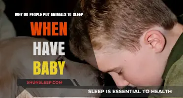 Understanding the Heartbreaking Decision: Euthanizing Pets After Welcoming a Baby