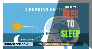 The Science Behind Sleep: Why Humans Need It