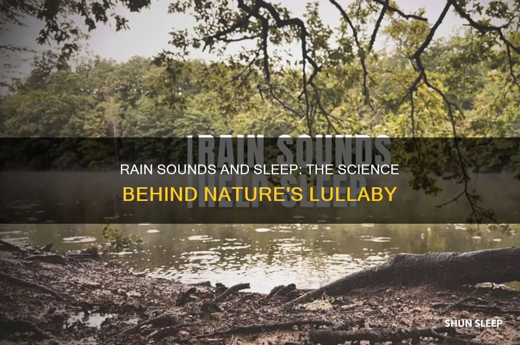 why do rain sounds help me sleep