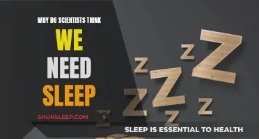 Scientists Explain the Importance of Sleep for Humans