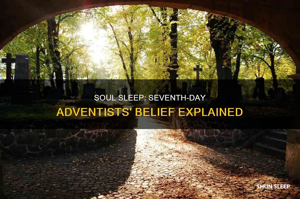 why do seventh day adventists believe in soul sleep