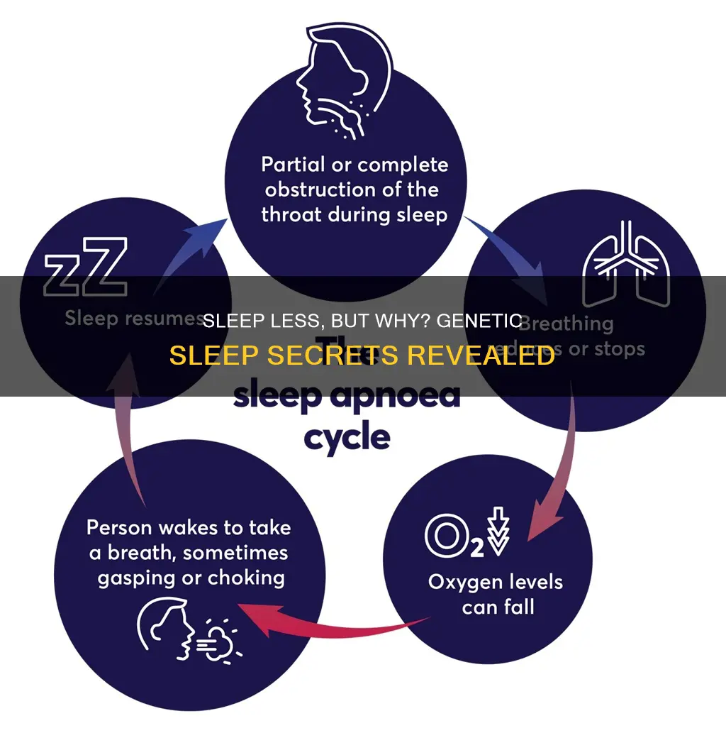 why do some individuals need less sleep than others