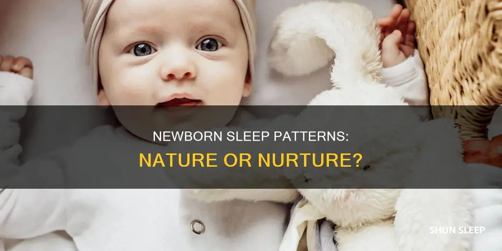 why do some newborns sleep more than others