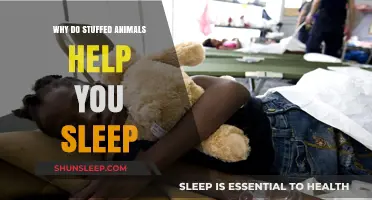 Cuddly Comfort: How Stuffed Animals Enhance Sleep Quality and Relaxation