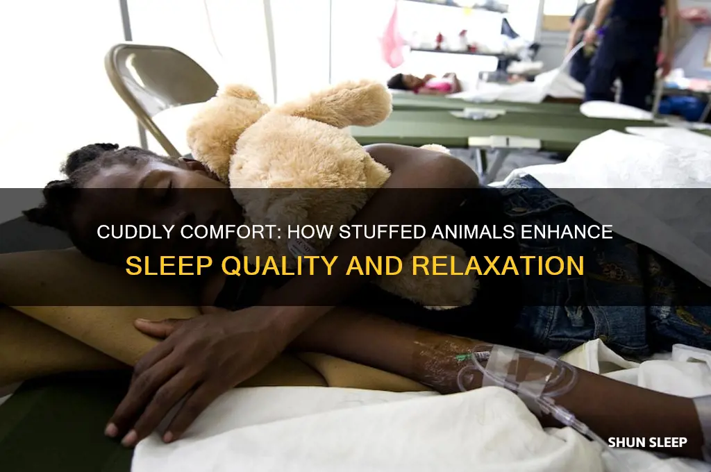 why do stuffed animals help you sleep