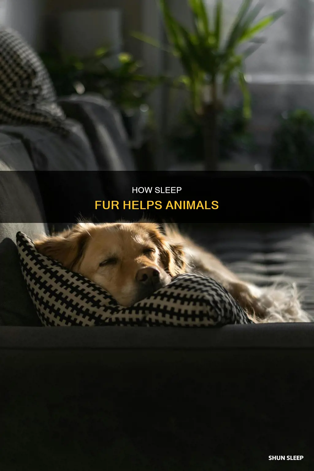 why do they use sleeps fur
