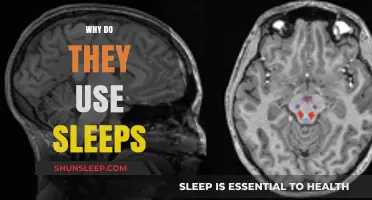 The Power of Sleep: Enhancing Performance and Productivity