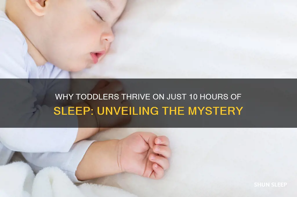 why do toddlers only get 10 hr of sleep