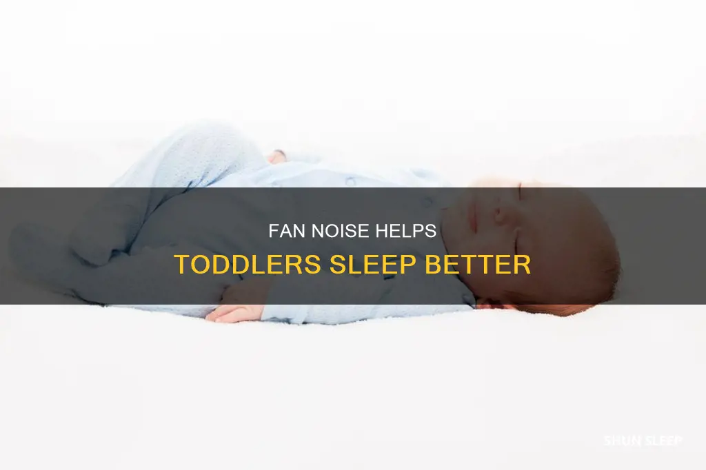 why do toddlers sleep better with fan