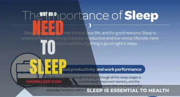 Sleep: The Ultimate Recharge for Mind and Body