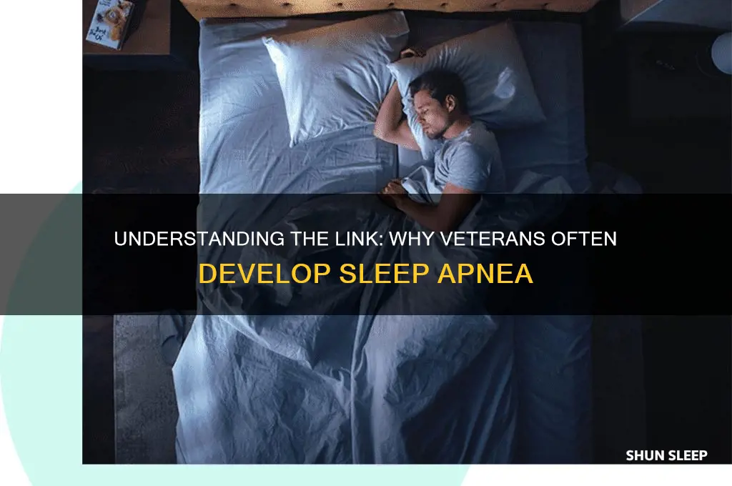 why do veterans get sleep apnea