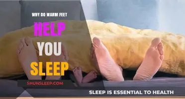 Warm Feet, Better Sleep: The Science Behind Cozy Nights