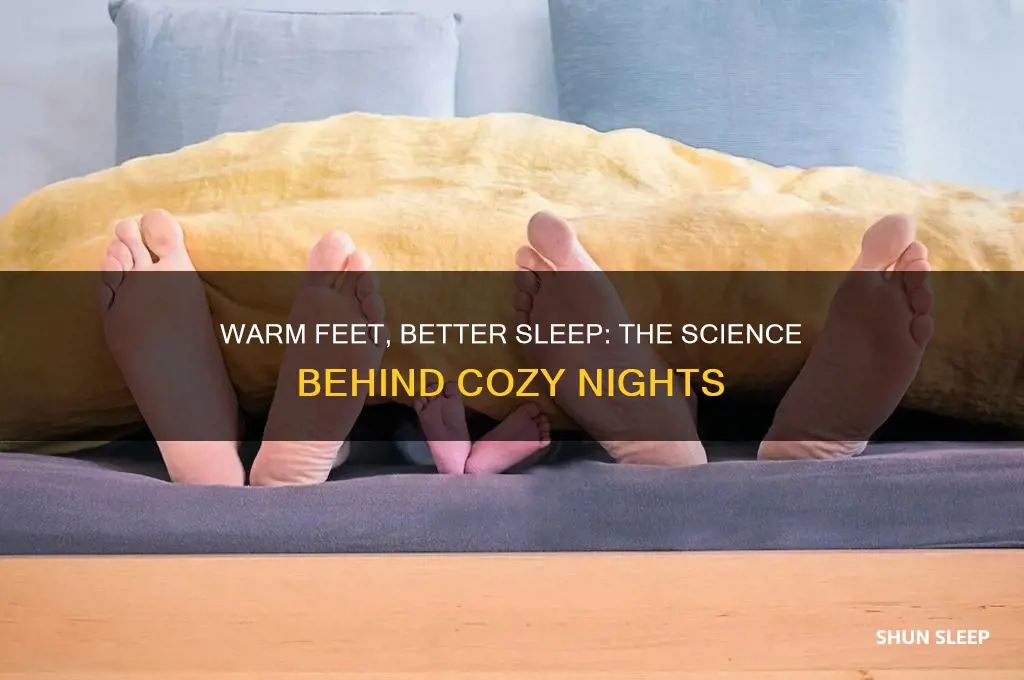 why do warm feet help you sleep