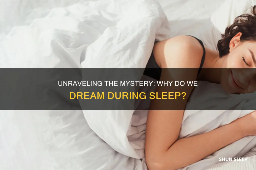 why do we get dreams in our sleep