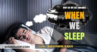 Unraveling the Mystery: Why Do We Dream During Sleep?