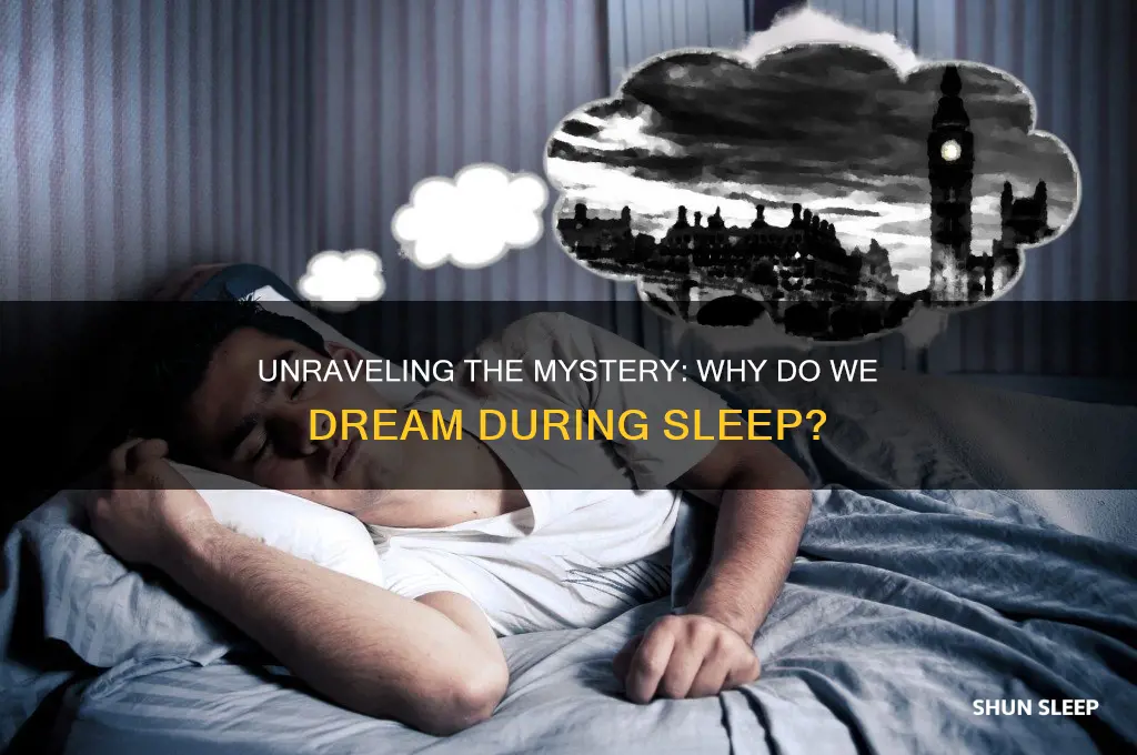 why do we get dreams when we sleep