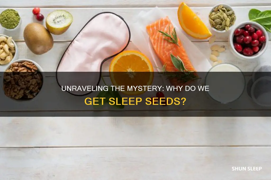 why do we get sleep seeds
