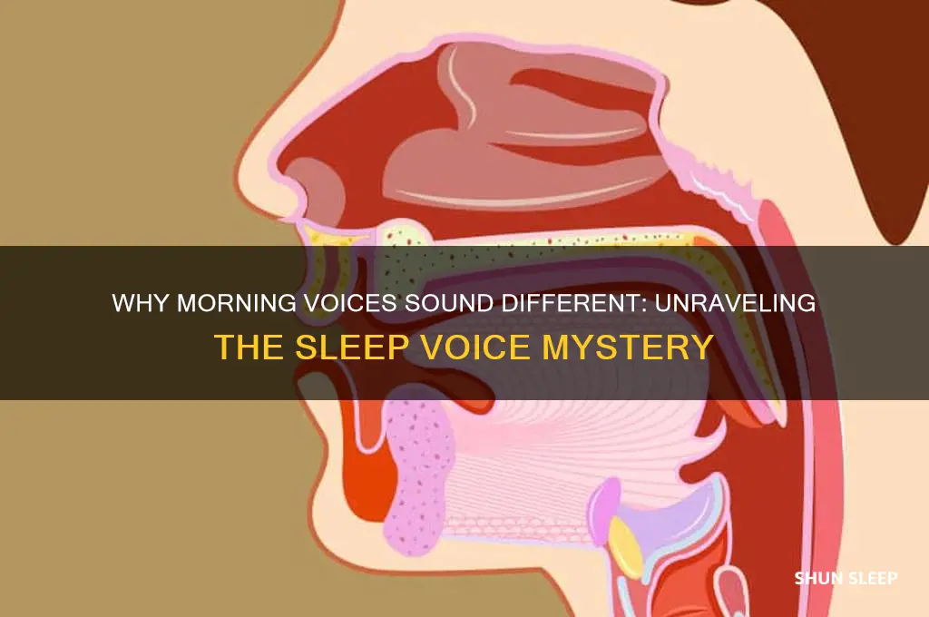 why do we get sleep voice in morning
