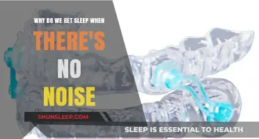 Silent Nights, Sleepy Minds: Exploring the Science of Noise-Free Slumber