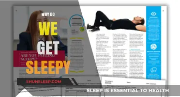 Unraveling the Science Behind Why We Feel Sleepy and Tired