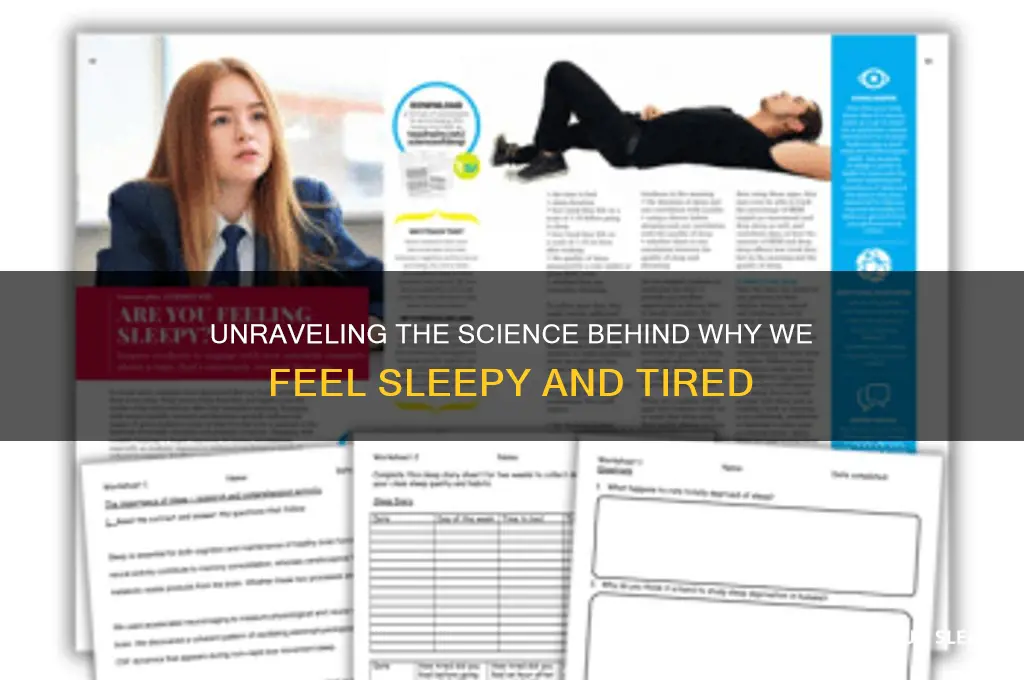why do we get sleepy