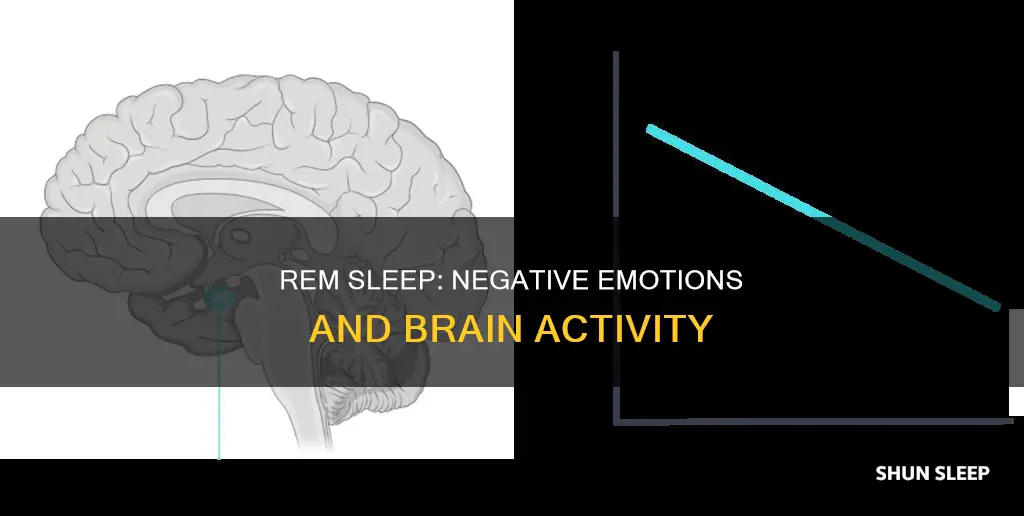 why do we have more negative emotions during rem sleep