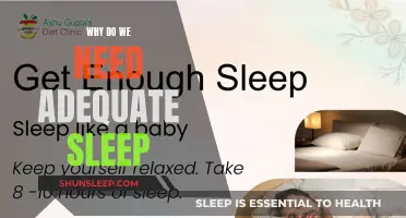Sleep: The Foundation of a Healthy, Productive Life