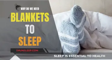 Blankets: A Comforting Sleep Companion