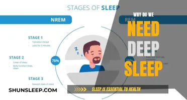 Deep Sleep: Essential for Body and Mind Rejuvenation