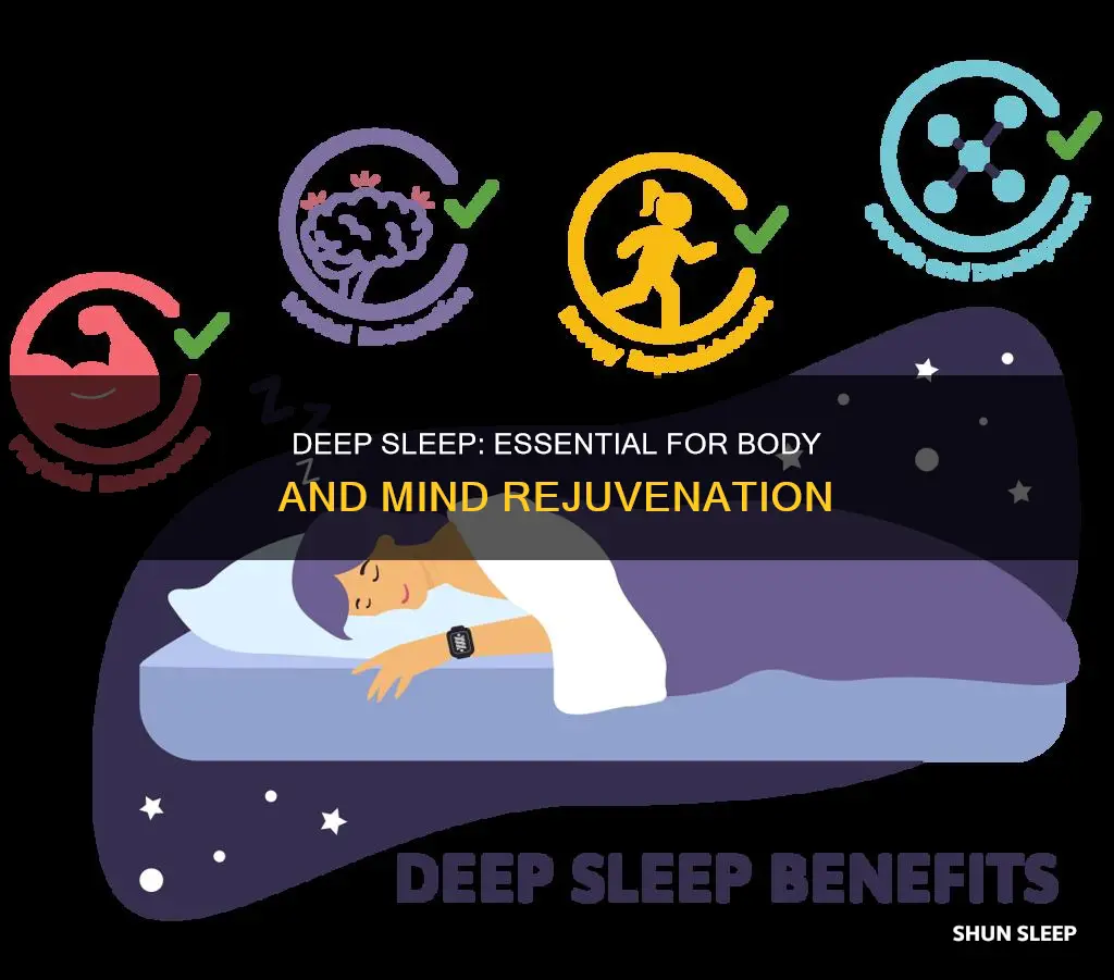 why do we need deep sleep