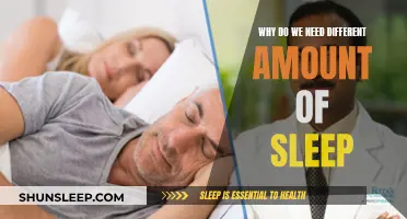 Sleep Requirements: Why Do Individual Needs Vary?