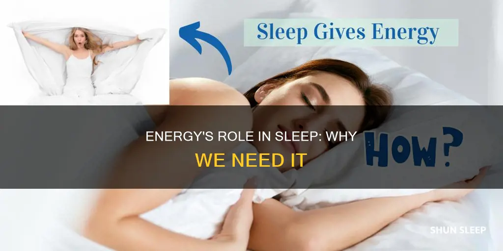 why do we need energy even when we are sleeping
