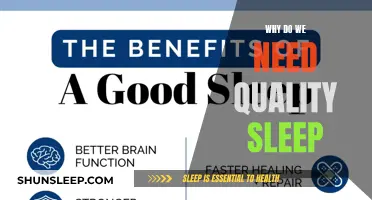 Quality Sleep: Foundation for a Healthy, Productive Life