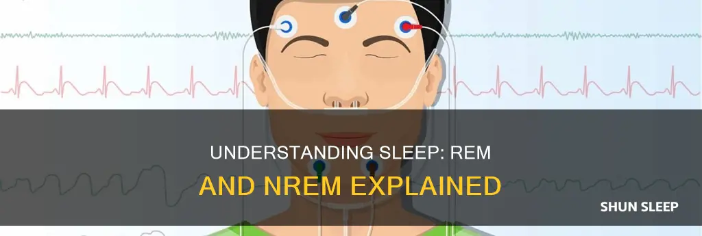 why do we need rem and nrem sleep