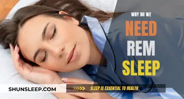 REM Sleep: Essential for Brain Health and Function