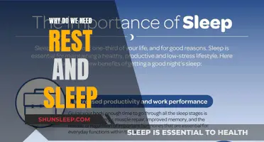 Rest and Sleep: The Ultimate Performance Enhancers