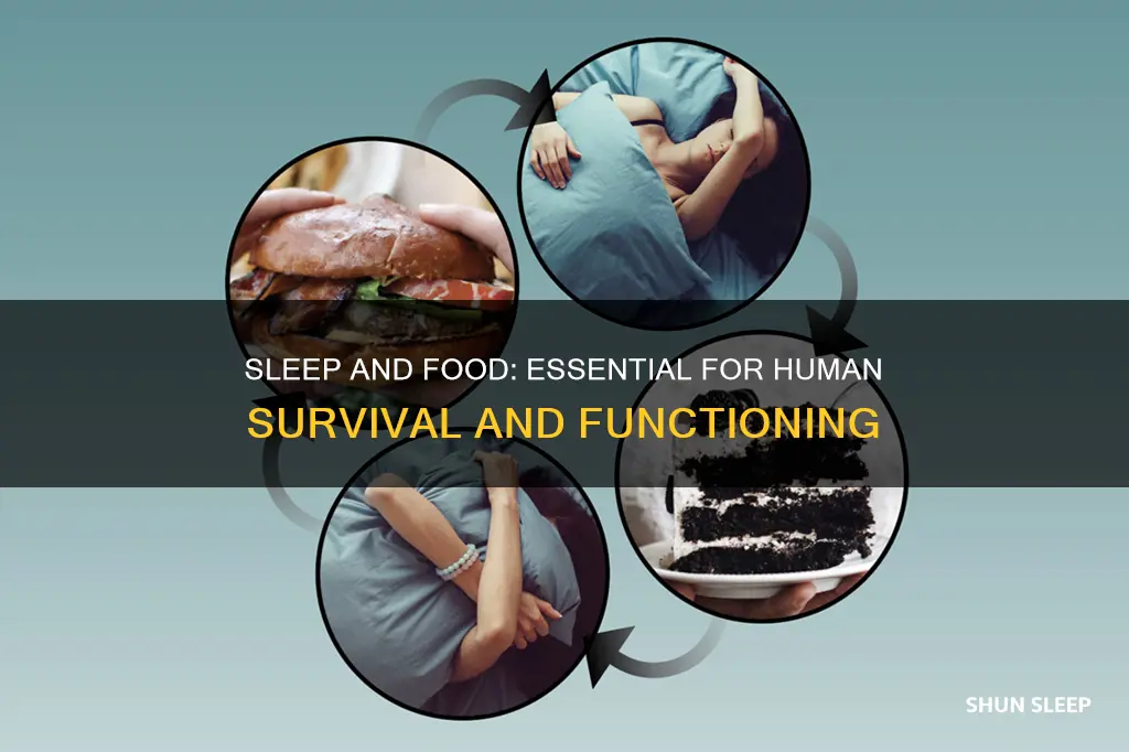 why do we need sleep and food