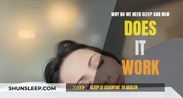 Sleep: Understanding Its Essential Role and Function