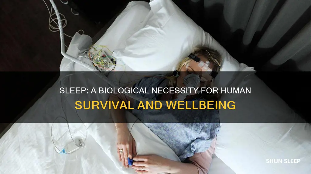 why do we need sleep article