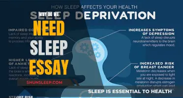 Sleep's Importance: A Guide to Understanding Sleep's Power